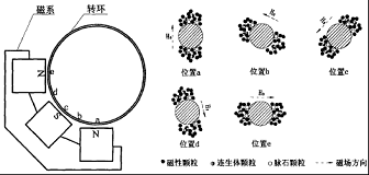 高梯度磁選機(jī)的磁場(chǎng)結(jié)構(gòu)圖
